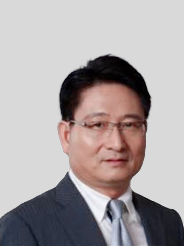 高级副总裁洪东盈先生